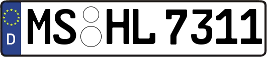 MS-HL7311