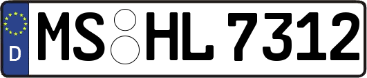 MS-HL7312