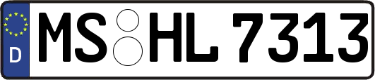 MS-HL7313