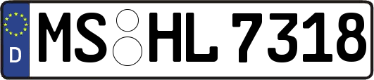 MS-HL7318