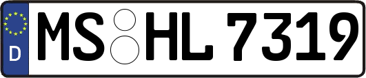 MS-HL7319