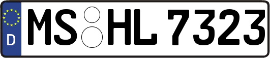 MS-HL7323