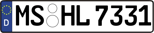 MS-HL7331