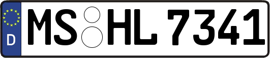 MS-HL7341