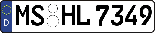 MS-HL7349