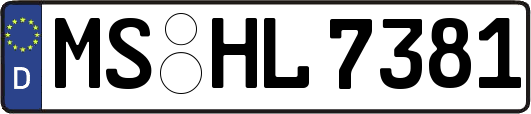 MS-HL7381