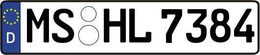 MS-HL7384