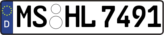 MS-HL7491
