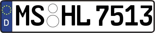 MS-HL7513