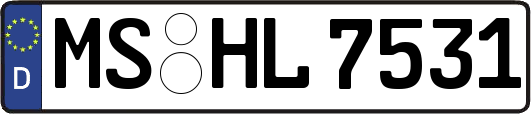 MS-HL7531