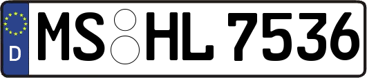 MS-HL7536