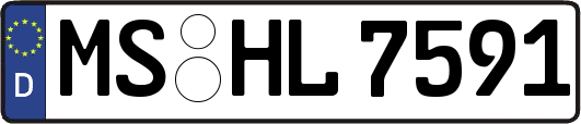 MS-HL7591