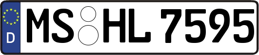 MS-HL7595