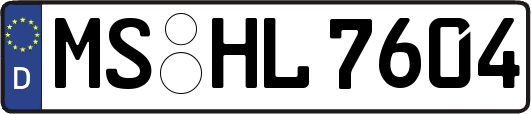 MS-HL7604