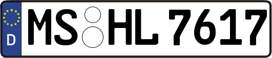 MS-HL7617