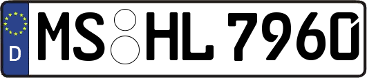 MS-HL7960
