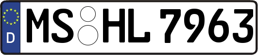 MS-HL7963
