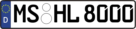 MS-HL8000