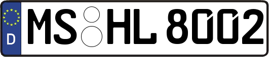 MS-HL8002