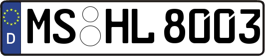 MS-HL8003