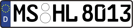 MS-HL8013