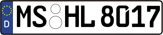 MS-HL8017
