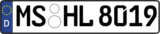 MS-HL8019