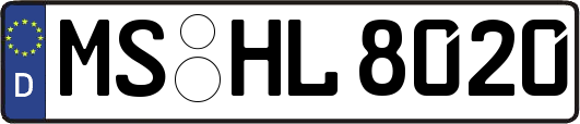 MS-HL8020