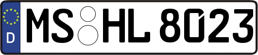 MS-HL8023