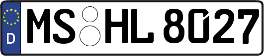 MS-HL8027