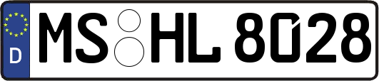 MS-HL8028