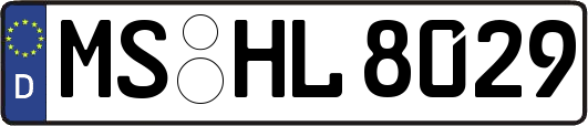 MS-HL8029
