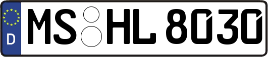 MS-HL8030