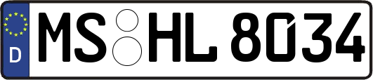 MS-HL8034