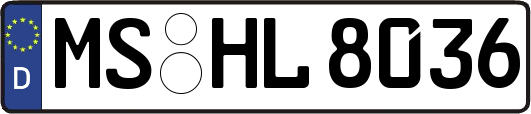 MS-HL8036