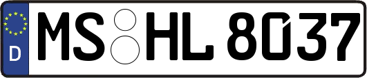 MS-HL8037