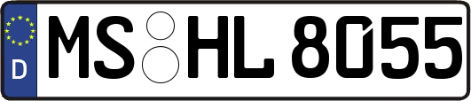 MS-HL8055