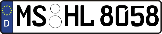 MS-HL8058