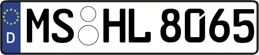 MS-HL8065