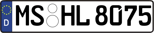 MS-HL8075