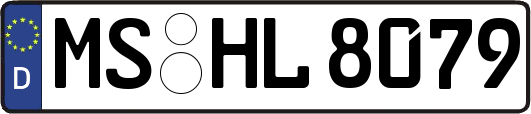 MS-HL8079