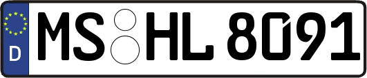 MS-HL8091