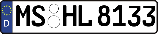 MS-HL8133
