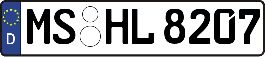 MS-HL8207