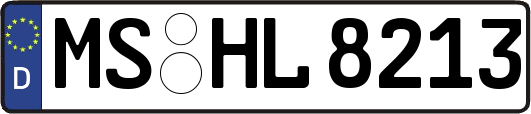 MS-HL8213