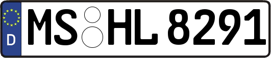 MS-HL8291