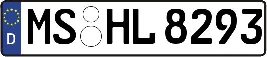 MS-HL8293