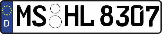 MS-HL8307