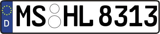 MS-HL8313