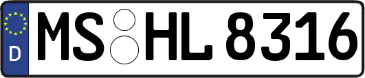 MS-HL8316